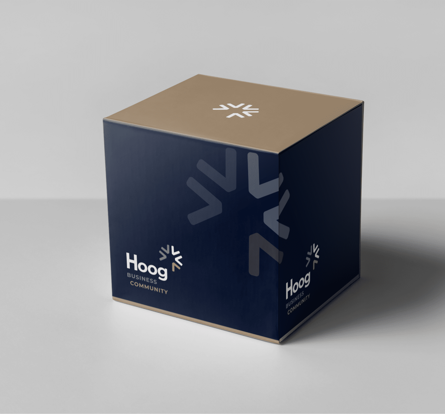 maurice hoog brandeniers